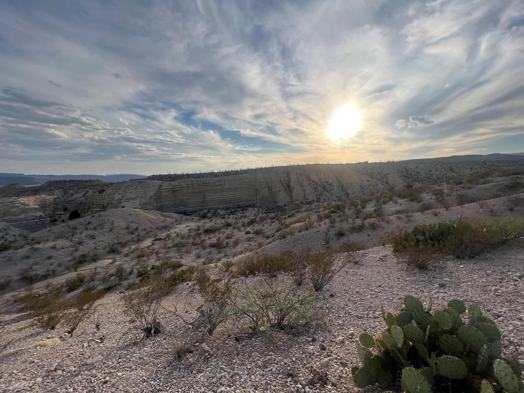 100 Needle Peak Road Terlingua, TX 79852 - Photo 10 of 20 a view of a dry field with lots of trees