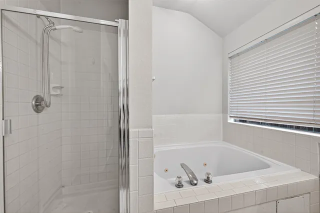 a bathroom with a shower and a bath tub