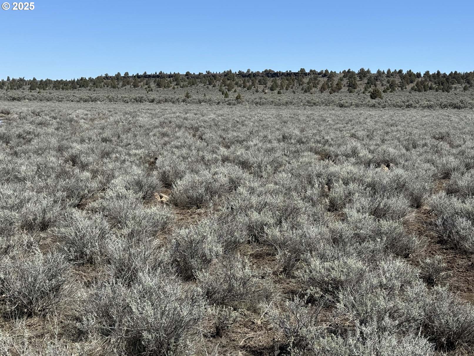 Browns Valley Road, Unit TL1403 Riley, OR 97758 - Photo 27 of 37