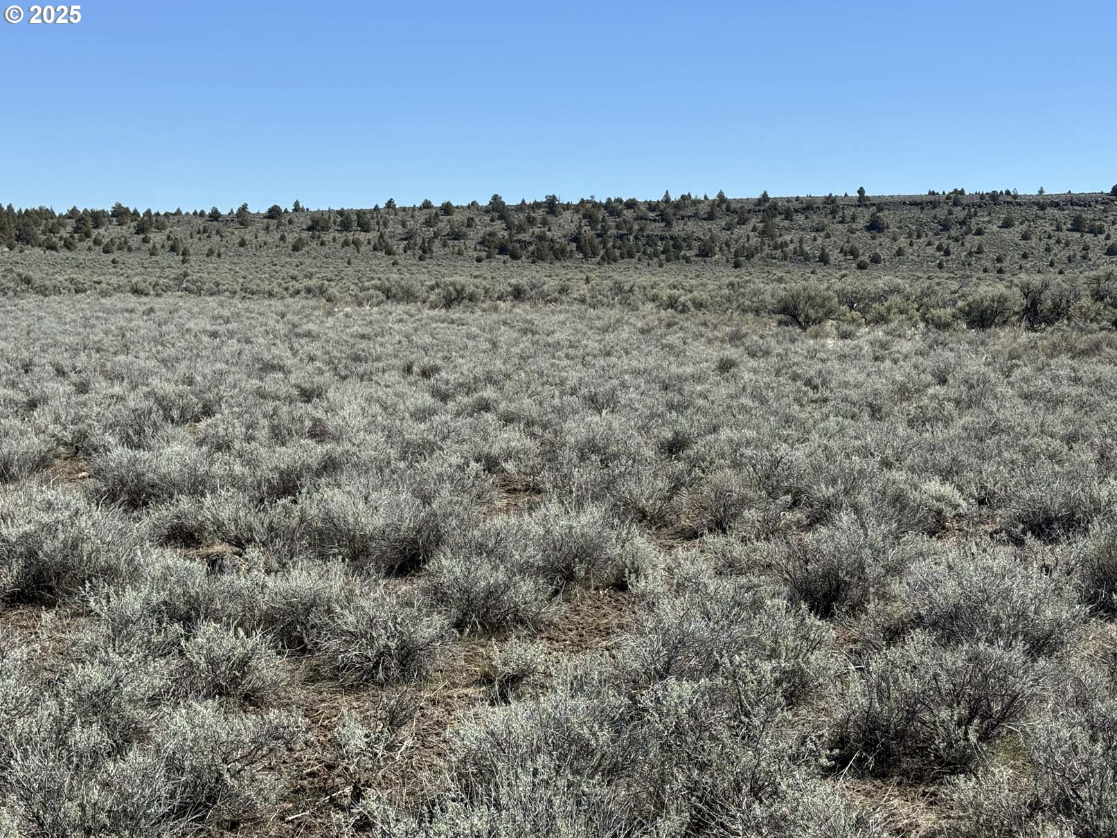 Browns Valley Road, Unit TL1403 Riley, OR 97758 - Photo 28 of 37