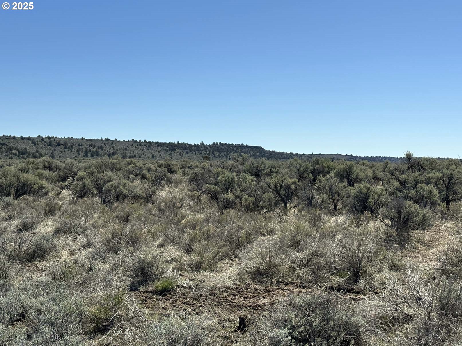 Browns Valley Road, Unit TL1403 Riley, OR 97758 - Photo 30 of 37