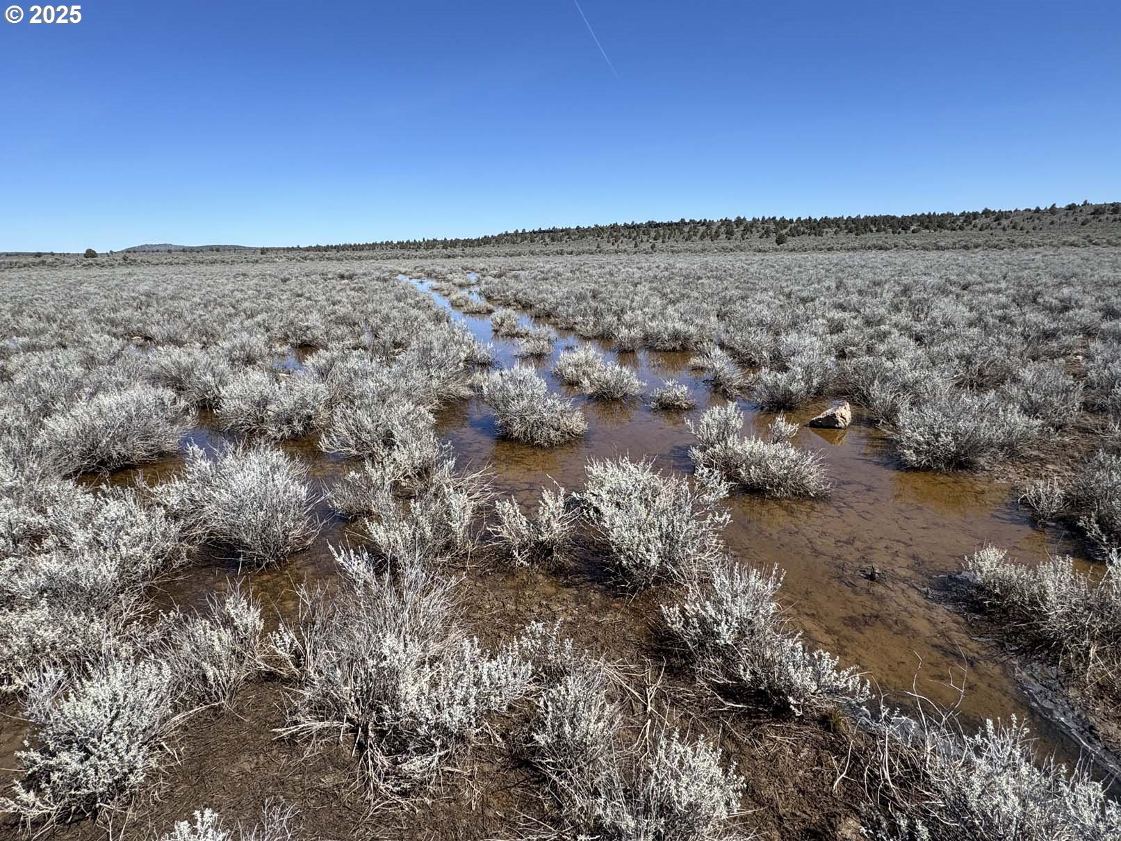 Browns Valley Road, Unit TL1403 Riley, OR 97758 - Photo 37 of 37