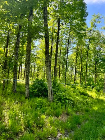 $1,750,000 | 0 Town Hill Road, Wolcott, VT 05680