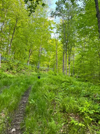 $1,750,000 | 0 Town Hill Road, Wolcott, VT 05680