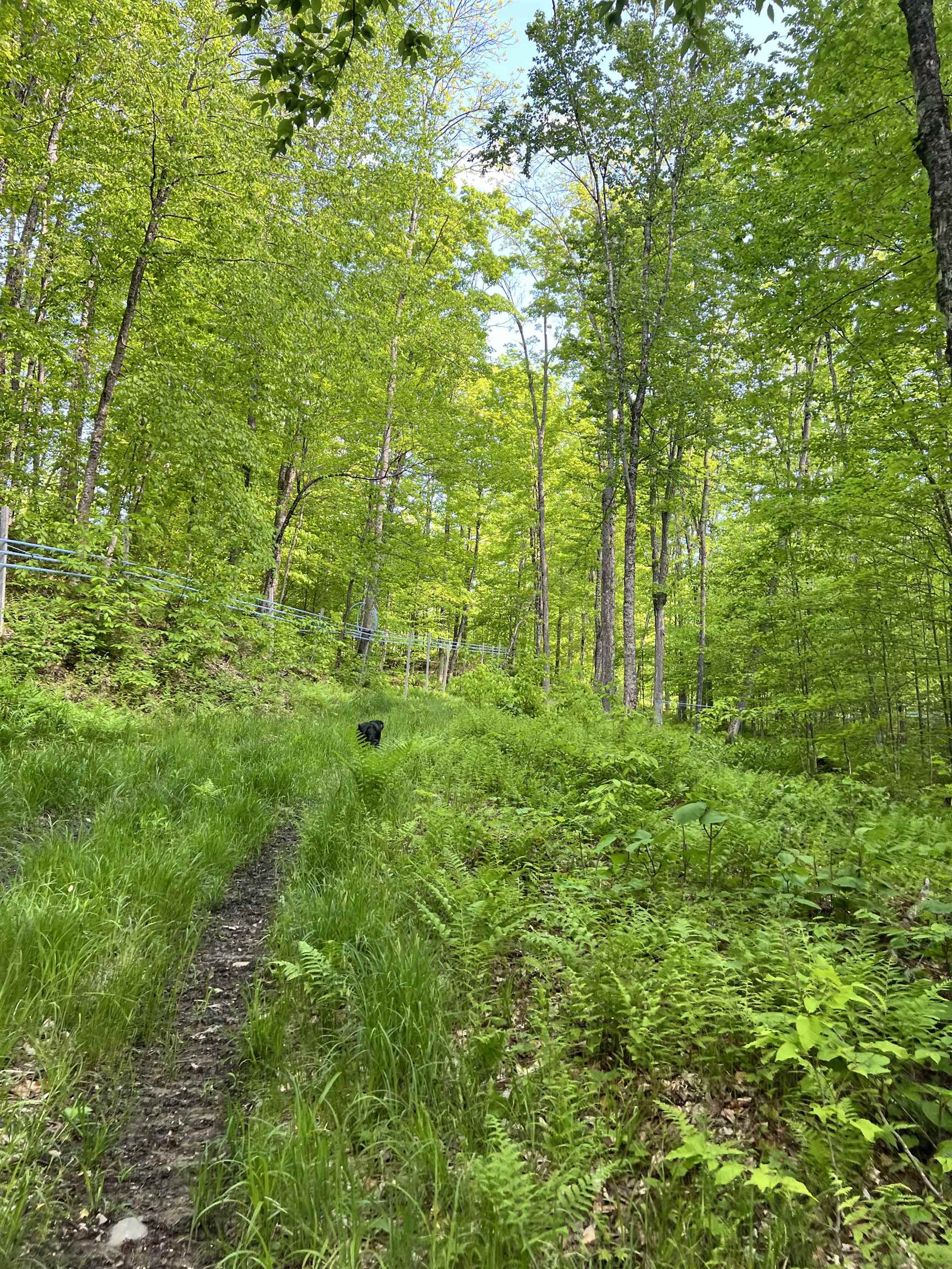 0 Town Hill Road Wolcott, VT 05680 - Photo 42 of 57