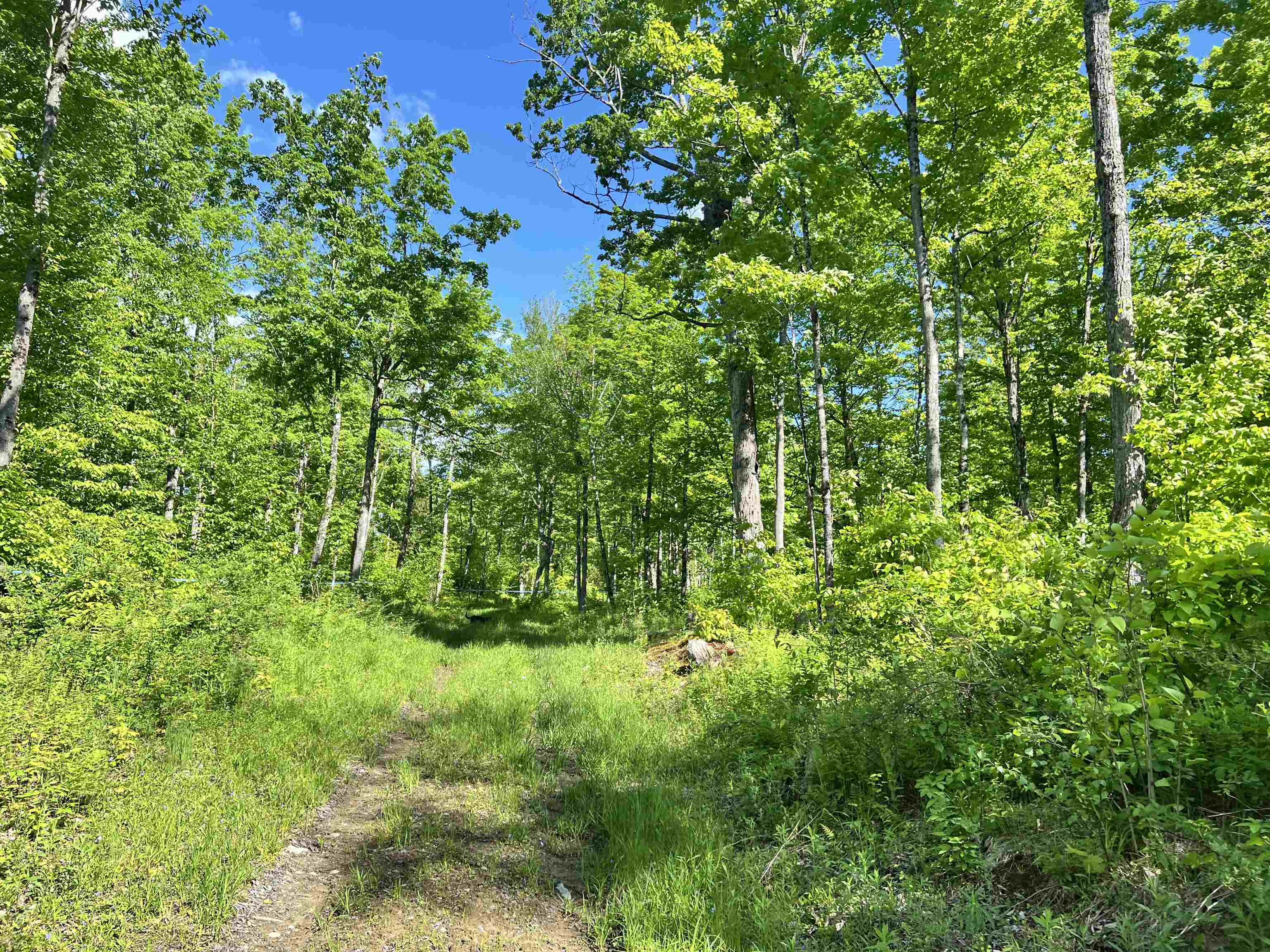 0 Town Hill Road Wolcott, VT 05680 - Photo 43 of 57