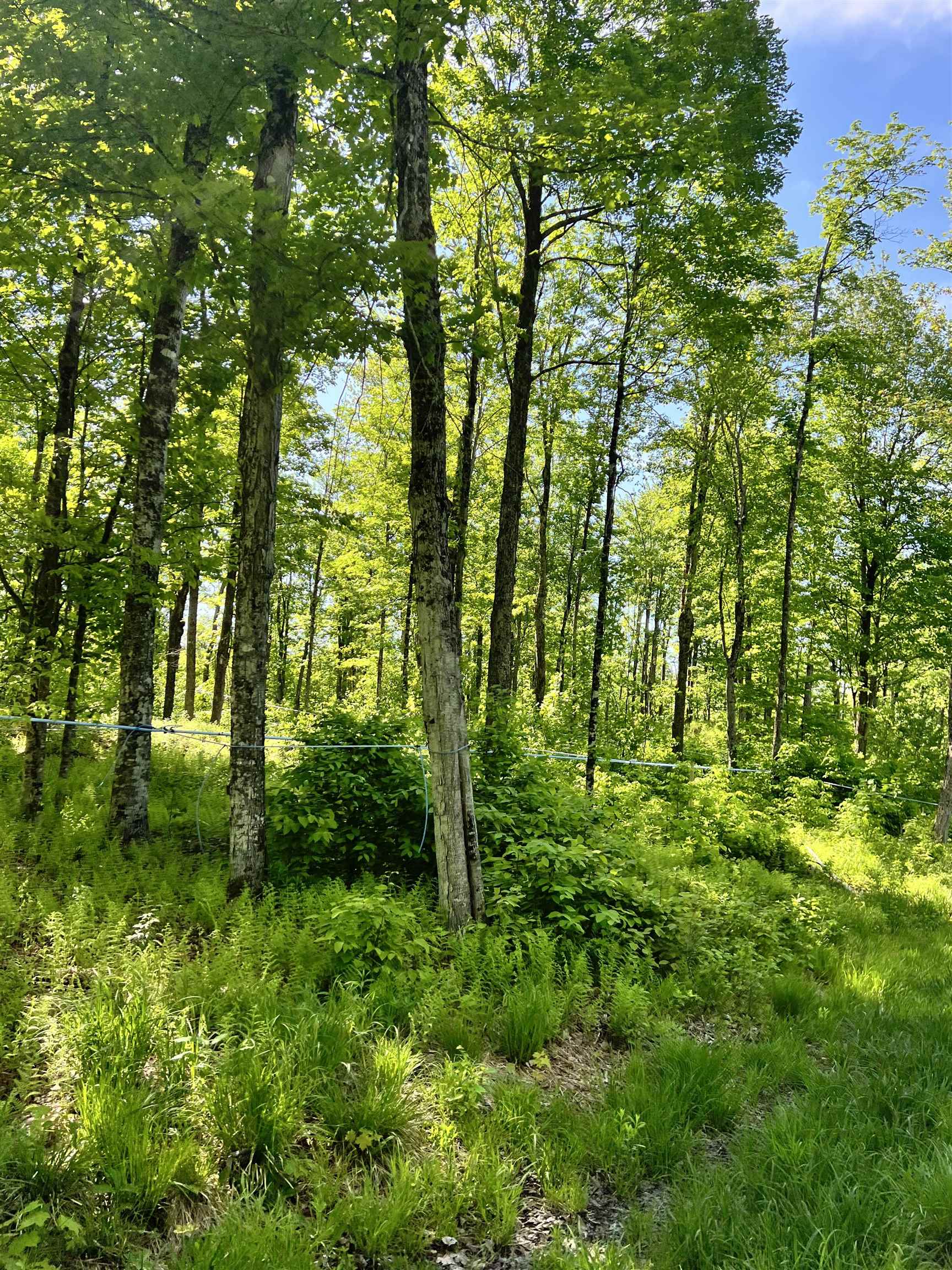 0 Town Hill Road Wolcott, VT 05680 - Photo 43 of 63