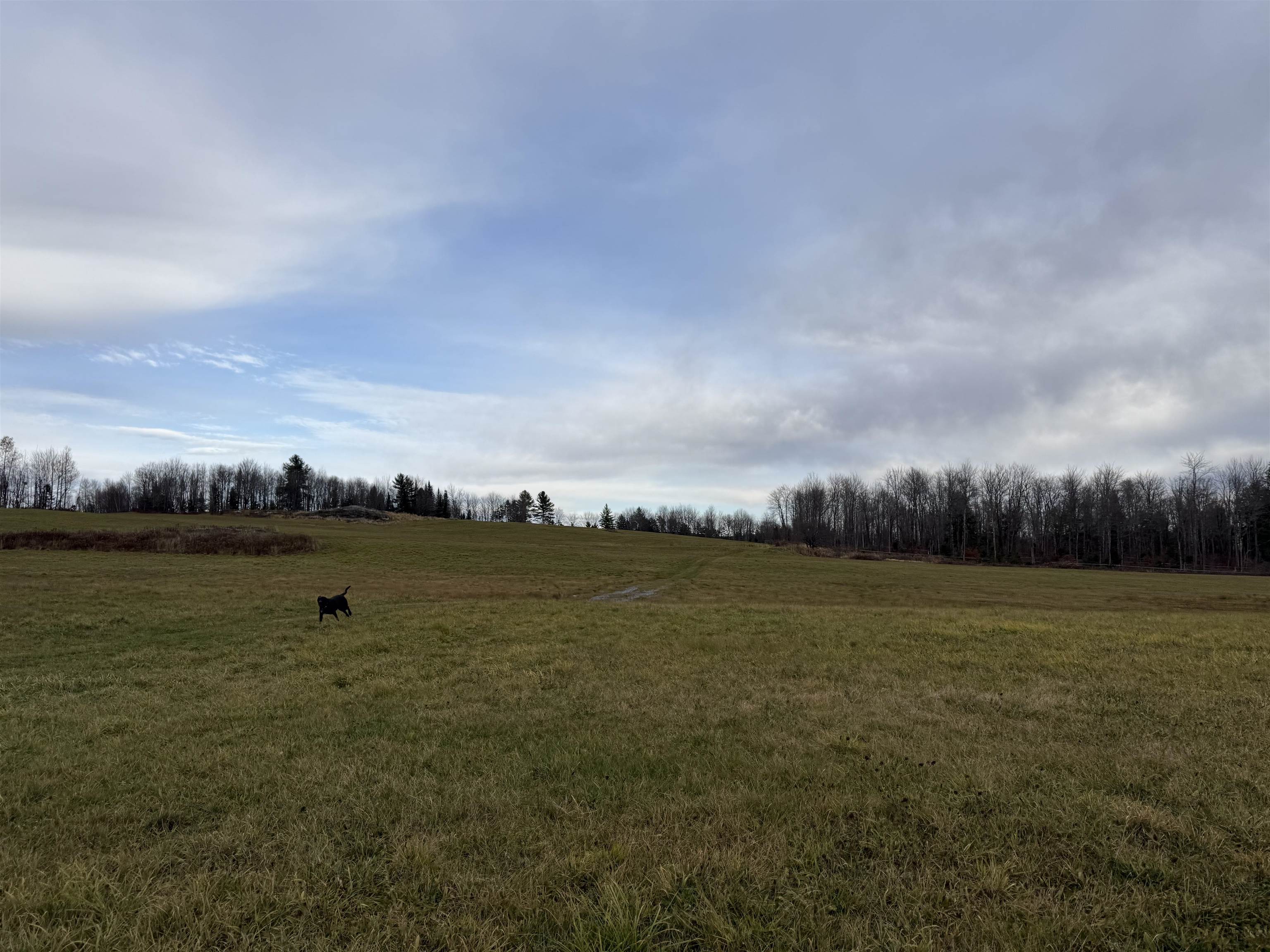 0 Town Hill Road Wolcott, VT 05680 - Photo 52 of 63