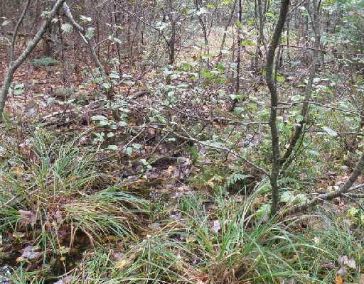 Lot 7 Cook Road Carmel, ME 04419 - Photo 2 of 6 Land.