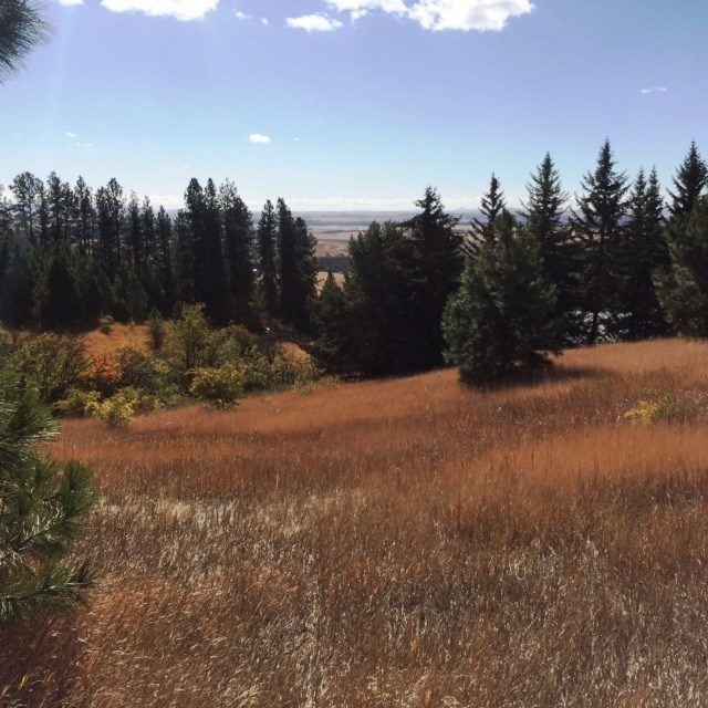 7424 East Big Rock Road Spokane, WA 99223 - Photo 1 of 9