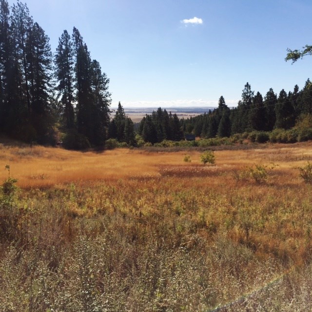 7424 East Big Rock Road Spokane, WA 99223 - Photo 5 of 9