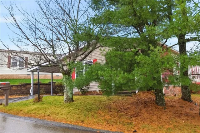 a view of a backyard