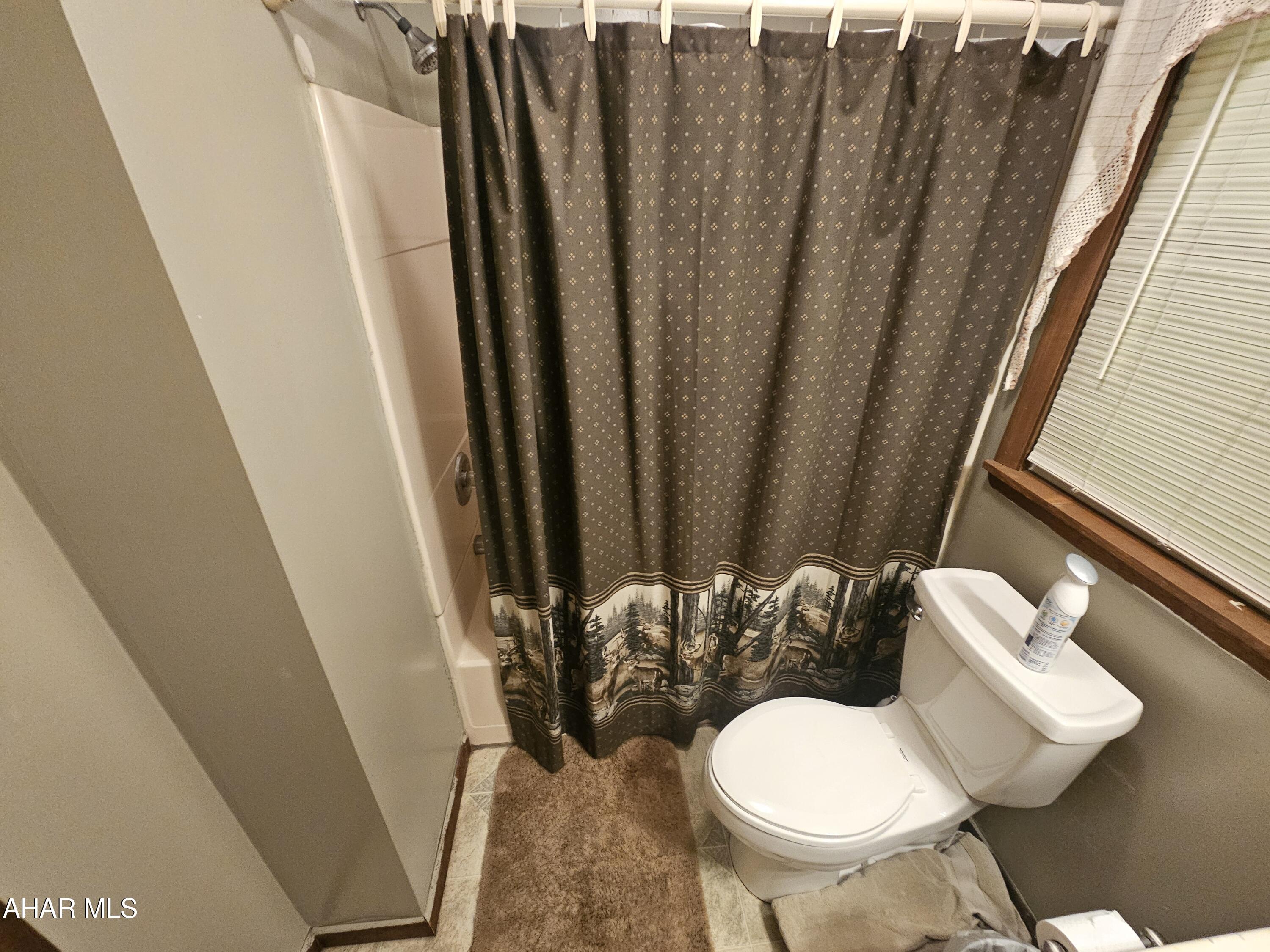 207 Kendrick Lane Flinton, PA 16640 - Photo 17 of 30 a bathroom with a toilet and a mirror