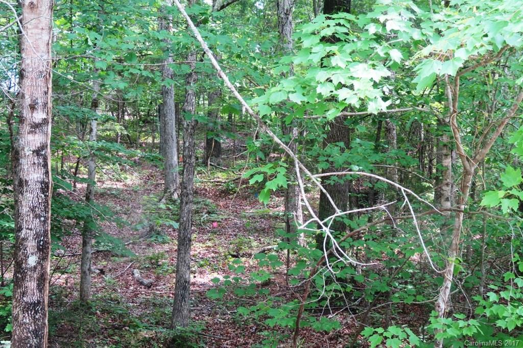 7011 Mexico Road Concord, NC 28025 - Photo 8 of 11 Gallery Image 8