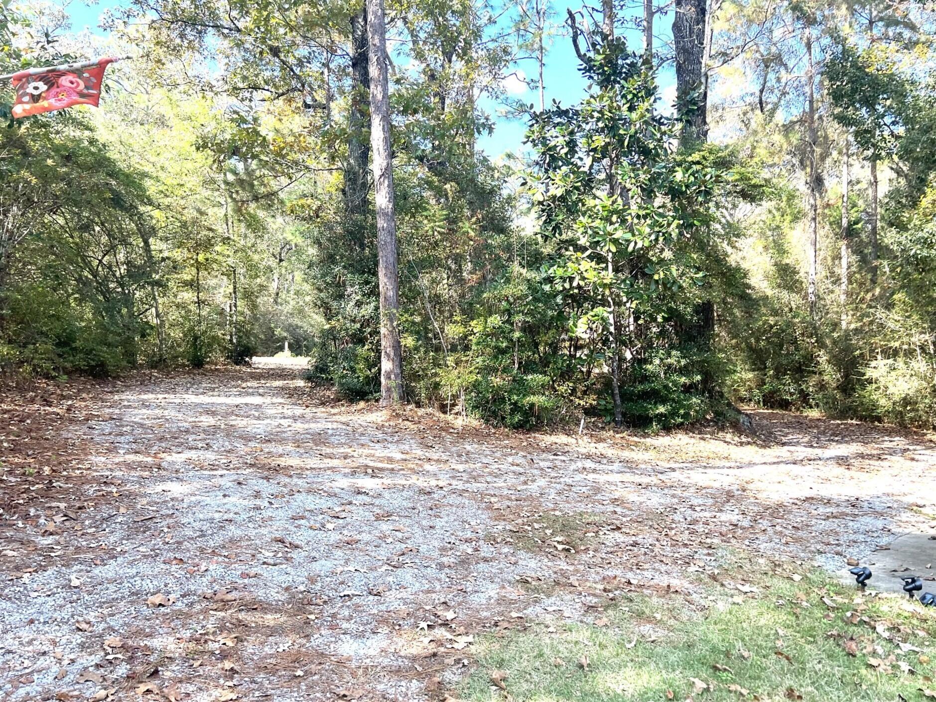 914 Spring Lake Road DeFuniak Springs, FL 32433 - Photo 59 of 78 a view of a yard with plants and trees