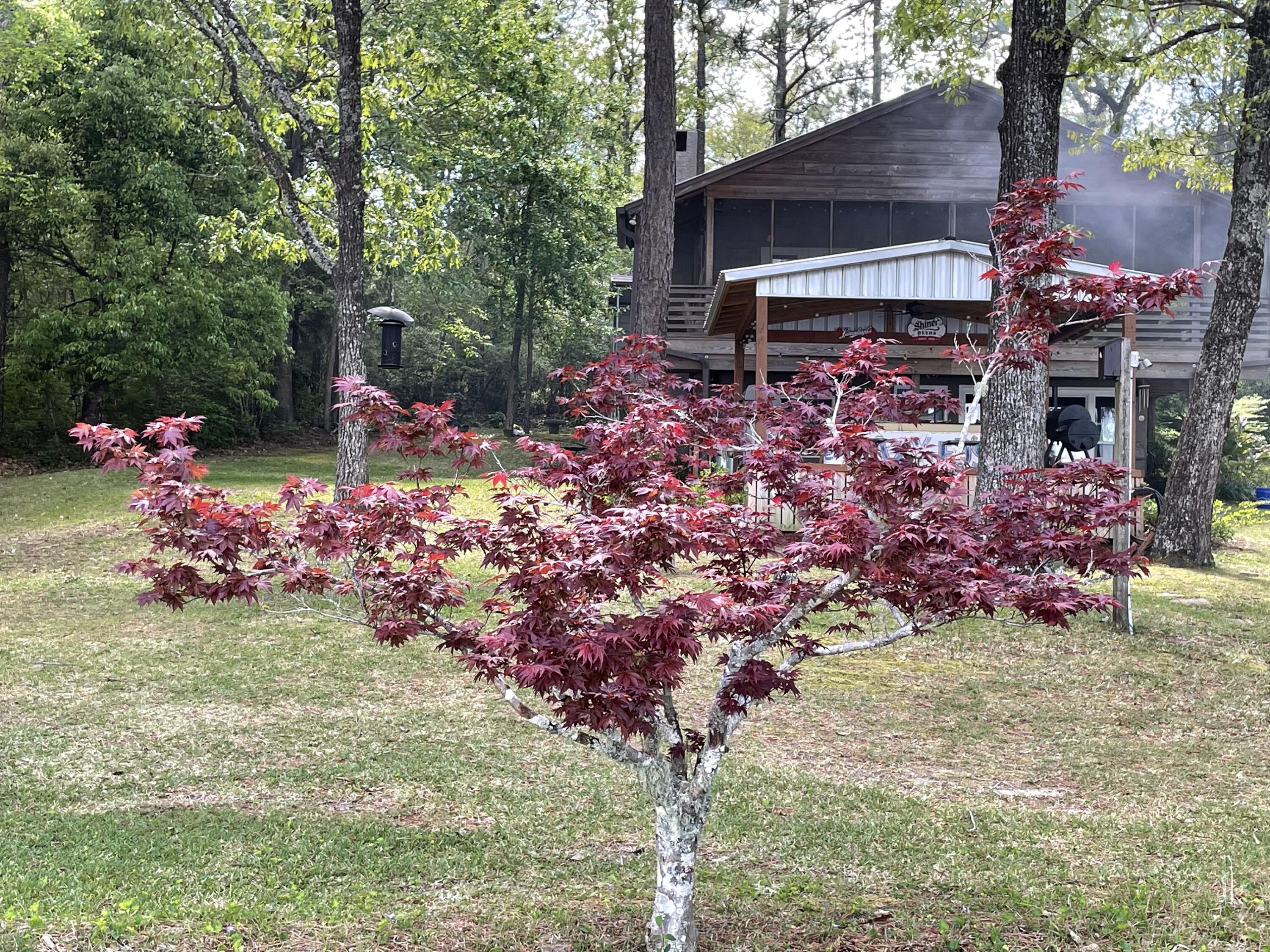 914 Spring Lake Road DeFuniak Springs, FL 32433 - Photo 61 of 78 a front view of a house with a yard and fountain