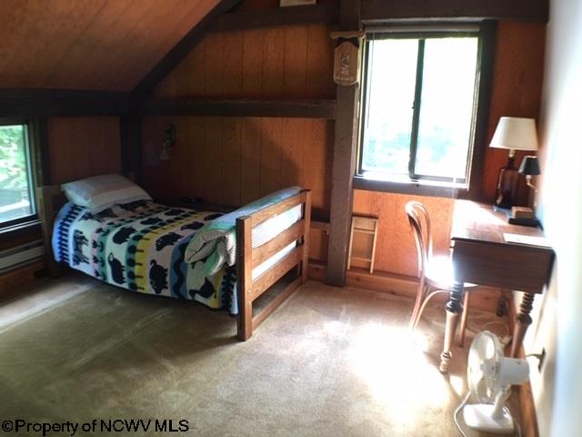 501 Sand Run Road Davis, WV 26260 - Photo 8 of 17 Gallery Image 8