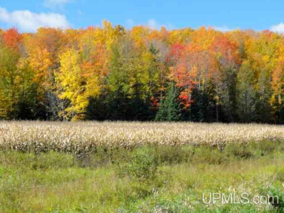 11969 Komula Road Pelkie, MI 49958 - Photo 20 of 21 Gallery Image 20