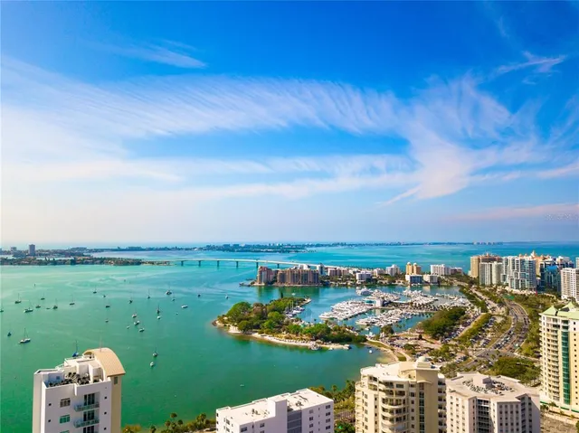 a view of a park with trees and plants