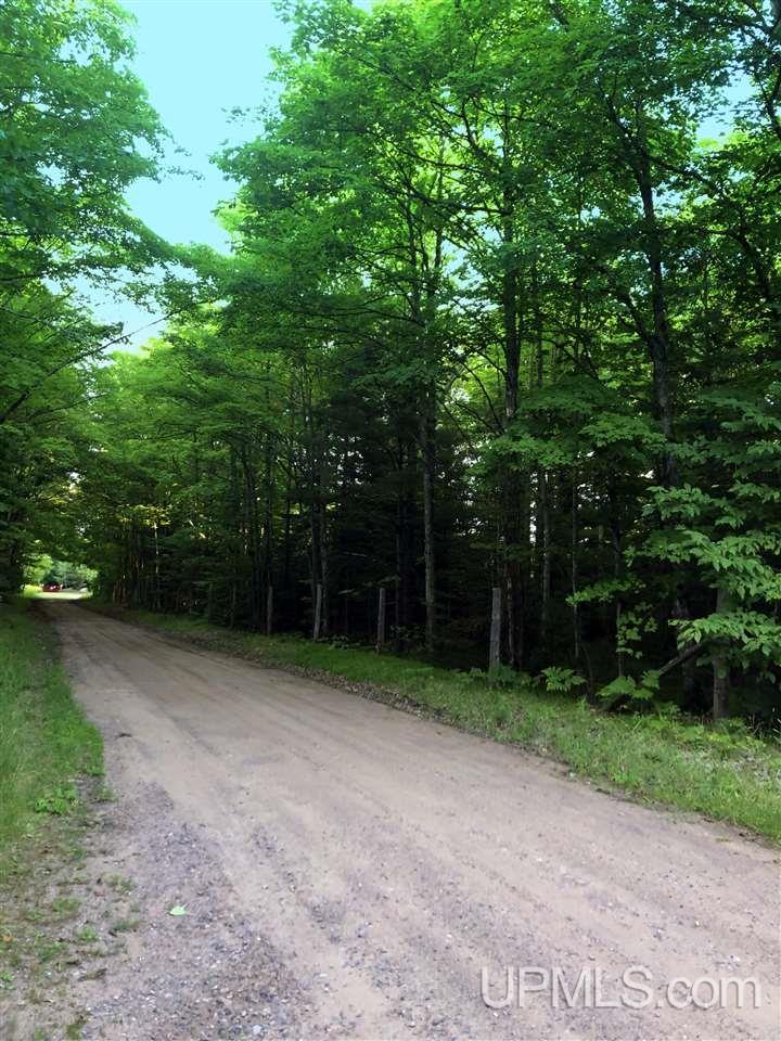 Tbd Tbd Eek Road Gwinn, MI 49841 - Photo 3 of 18
