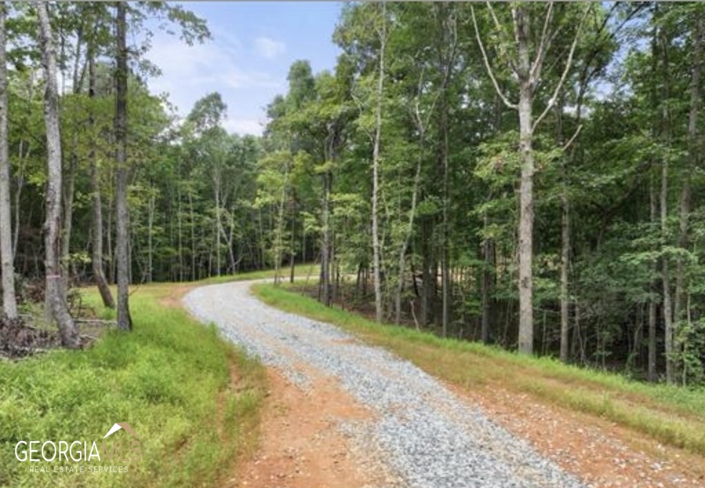 Lot 6 Parker Point Cornelia, GA 30531 - Photo 3 of 5