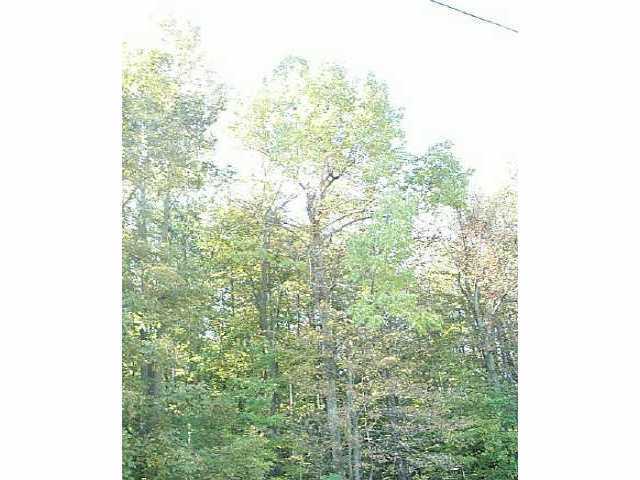 0 Fleckinger Road, Unit LOT 2 Richwood, OH 43358 - Photo 1 of 1