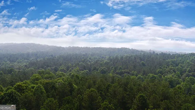 $2,878,700 | 0 Mt Sinai Road, Lula, GA 30554