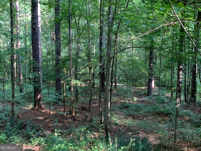 0 Mt Sinai Road Lula, GA 30554 - Photo 11 of 31 a view of a forest that has large trees