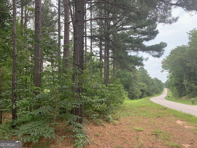 0 Mt Sinai Road Lula, GA 30554 - Photo 12 of 21 a view of a forest with trees