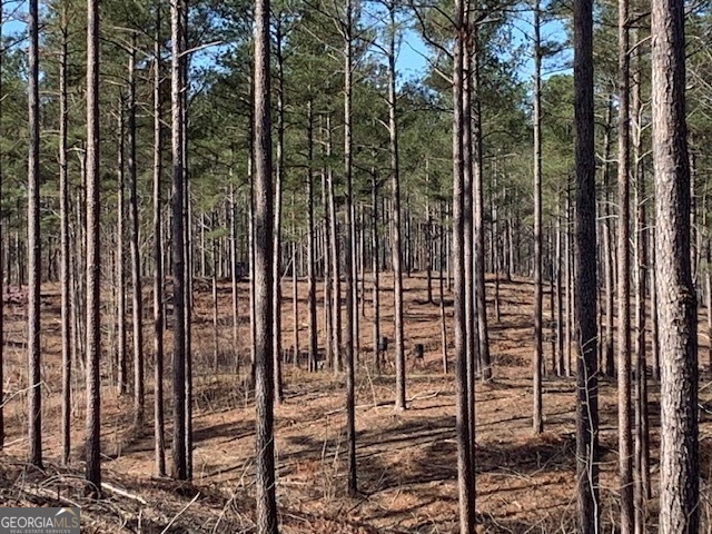 0 Mt Sinai Road Lula, GA 30554 - Photo 13 of 31 a view of outdoor space