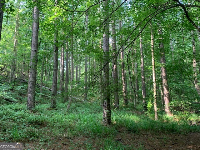 0 Mt Sinai Road Lula, GA 30554 - Photo 13 of 21