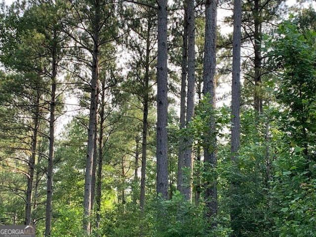 0 Mt Sinai Road Lula, GA 30554 - Photo 14 of 21 a view of forest