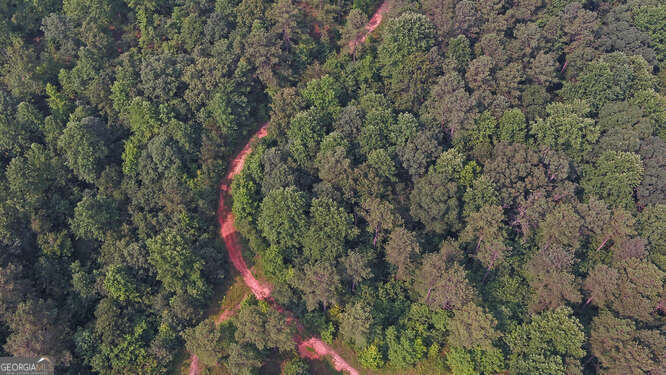 0 Mt Sinai Road Lula, GA 30554 - Photo 15 of 21 a close up of a tree
