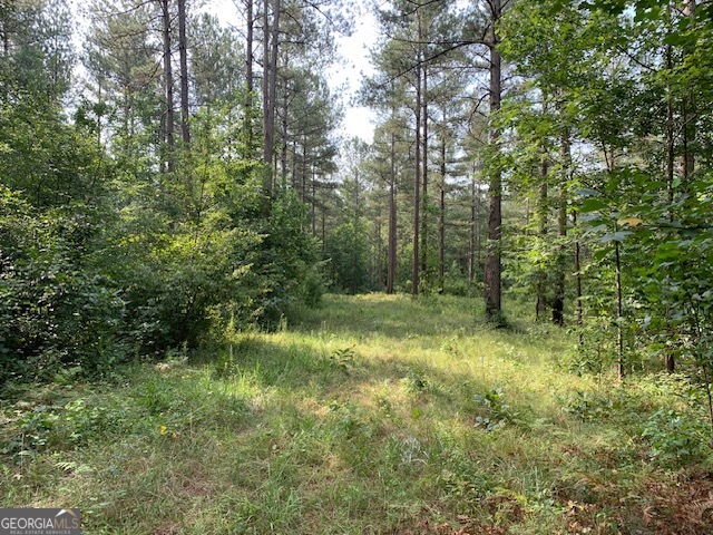 0 Mt Sinai Road Lula, GA 30554 - Photo 20 of 21 a view of outdoor space and green space