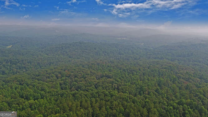 0 Mt Sinai Road Lula, GA 30554 - Photo 21 of 21