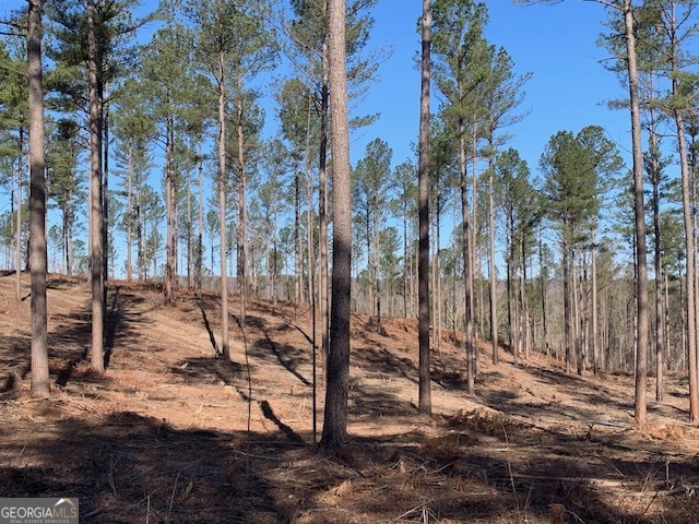 0 Mt Sinai Road Lula, GA 30554 - Photo 22 of 31 a view of a park with large trees