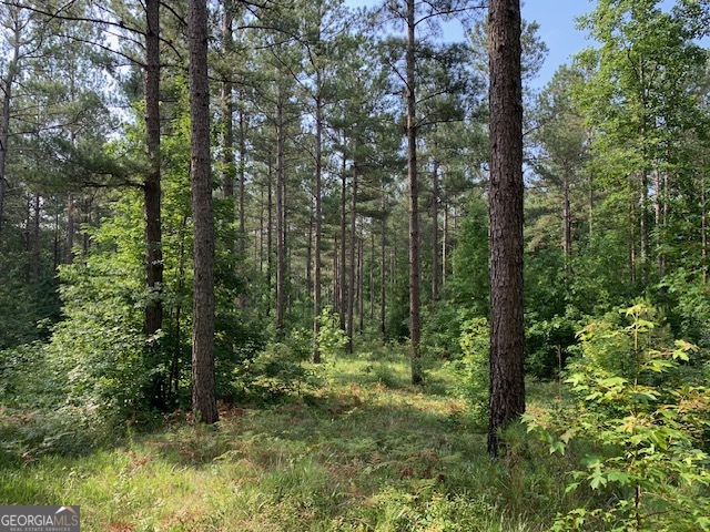 0 Mt Sinai Road Lula, GA 30554 - Photo 23 of 31 a view of outdoor space and green space