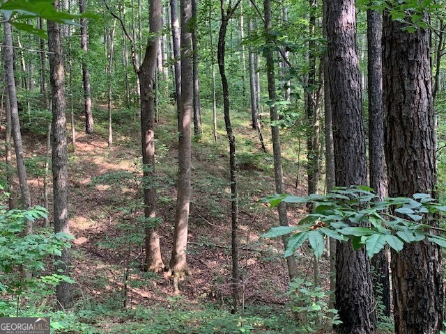 0 Mt Sinai Road Lula, GA 30554 - Photo 24 of 31 a view of outdoor space and garden