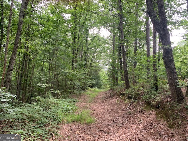 0 Mt Sinai Road Lula, GA 30554 - Photo 26 of 31 a view of a forest with trees in the background