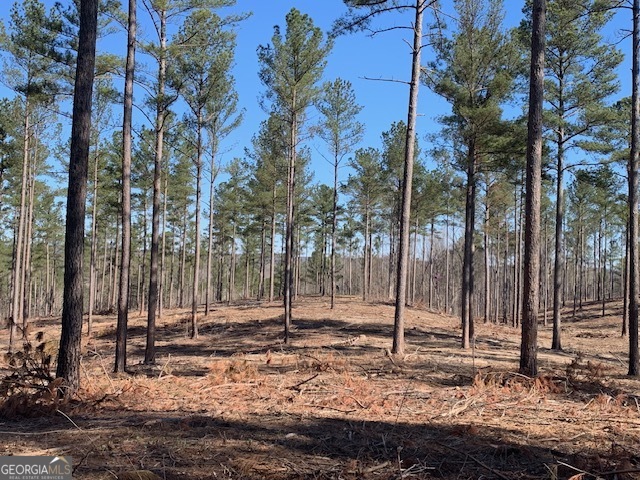0 Mt Sinai Road Lula, GA 30554 - Photo 27 of 31 a backyard of a house with lots of green space