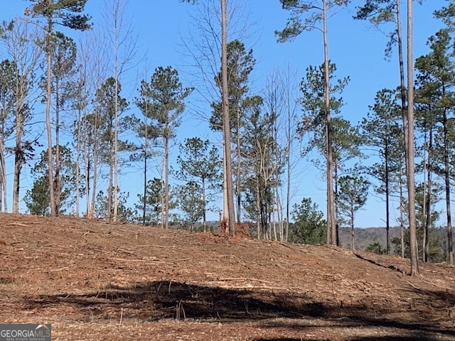 0 Mt Sinai Road Lula, GA 30554 - Photo 29 of 31 a view of a yard with trees
