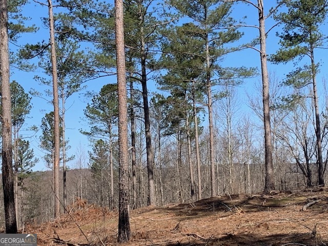 0 Mt Sinai Road Lula, GA 30554 - Photo 31 of 31 a view of a house with a tree