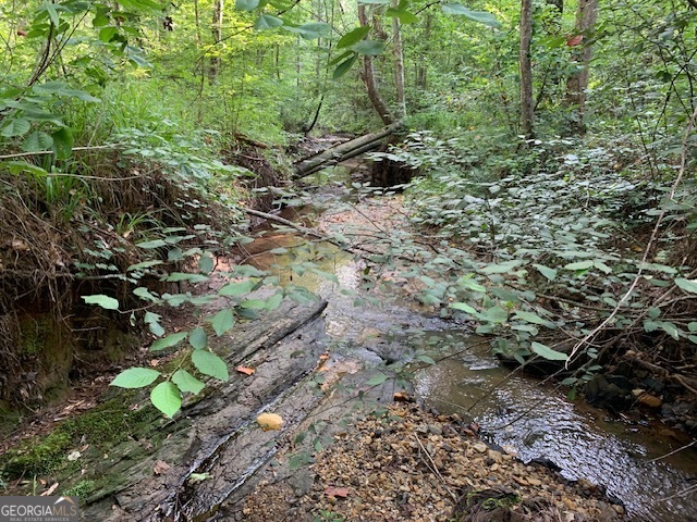 0 Mt Sinai Road Lula, GA 30554 - Photo 4 of 21 a backyard of a house with lots of green space