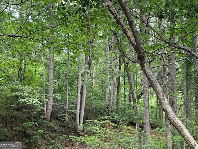 0 Mt Sinai Road Lula, GA 30554 - Photo 4 of 31 a view of forest