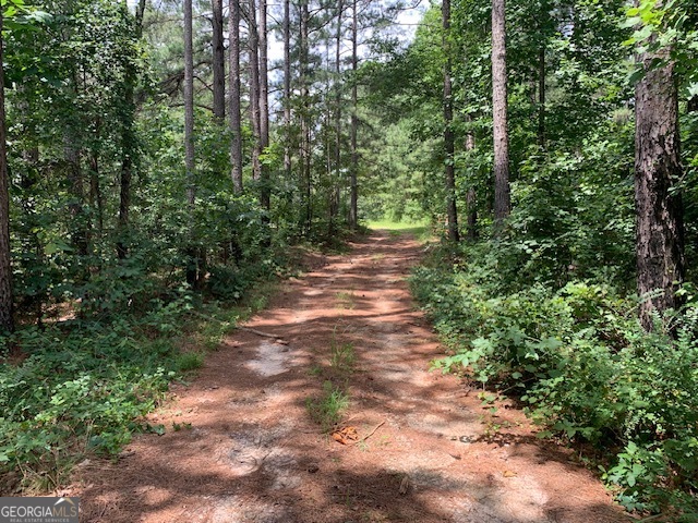 0 Mt Sinai Road Lula, GA 30554 - Photo 6 of 31 a view of a pathway both side of yard