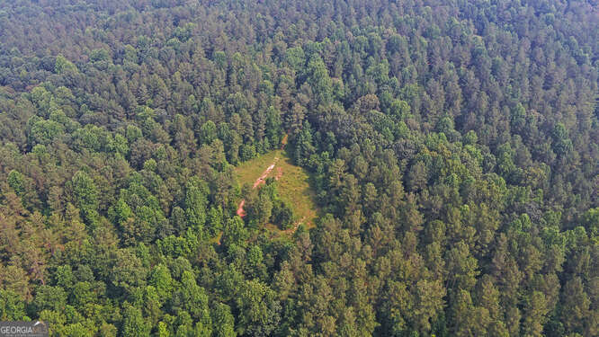 0 Mt Sinai Road Lula, GA 30554 - Photo 7 of 21 a view of a forest with a street