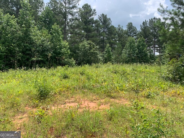 0 Mt Sinai Road Lula, GA 30554 - Photo 8 of 31 a view of a garden