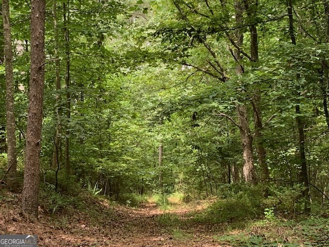 0 Mt Sinai Road Lula, GA 30554 - Photo 8 of 21 a view of a yard