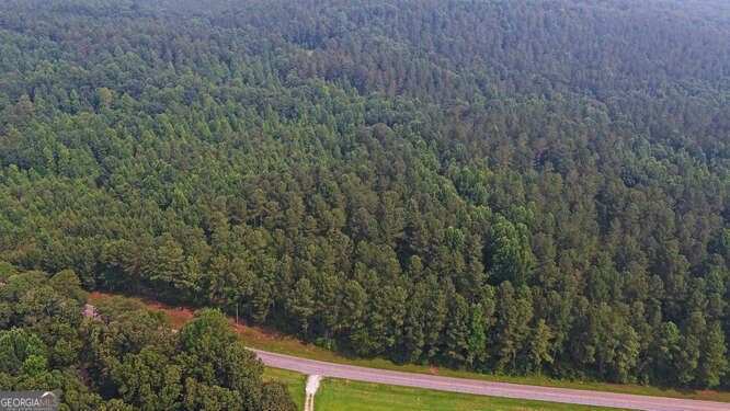 0 Mt Sinai Road Lula, GA 30554 - Photo 10 of 21 a view of a yard with a wooden fence