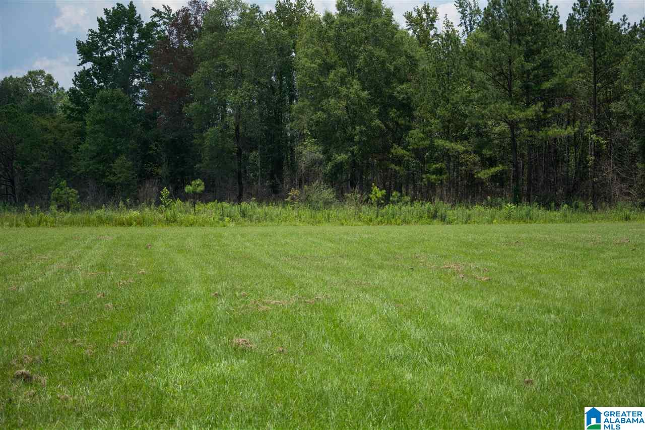 115 Whitney Circle, Unit 30 Vincent, AL 35178 - Photo 7 of 8